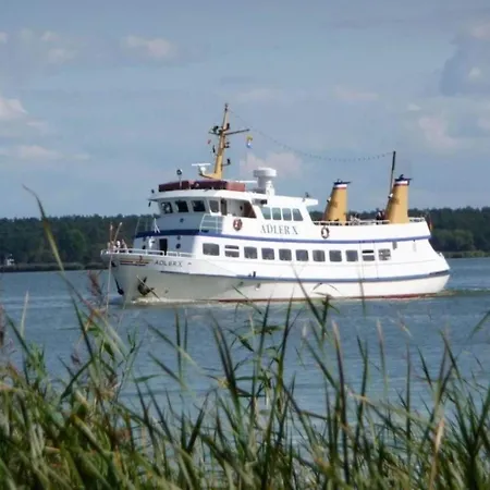 Bellin Ueckermünde